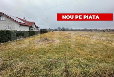 Teren intravilan 1609mp