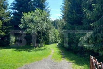 Ocazie , cabana, 300 mp utili, Poiana Stampei cu 6060 mp ter - 4