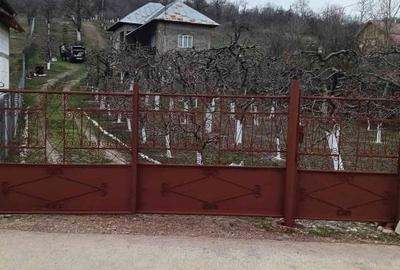 Casă individuală cu 2 camere cu Teren 2800 Mp în Boțești - 2