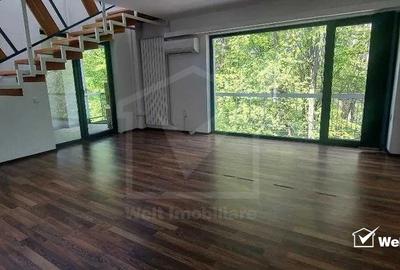 Birou, de 260 mp, în Zorilor - 3