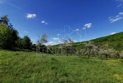 Teren Construcții extravilan de 680 mp, în Budeasa Mică - 9