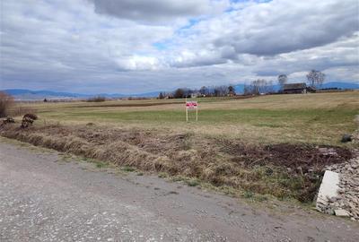 Teren Construcții intravilan de 2810 mp, în Sineu - 3