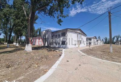 Teren de 35000 mp, în Funcționarilor - 11