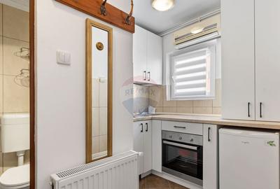 Apartament 1 camera de inchiriat zona Banul Maracine - 2