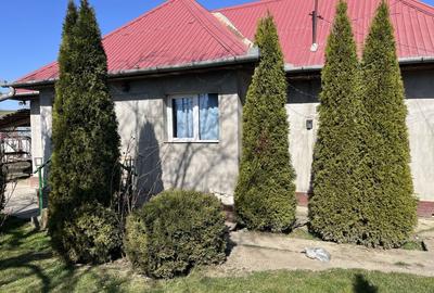 Casă cu 2 camere în Șardu Nirajului - 4