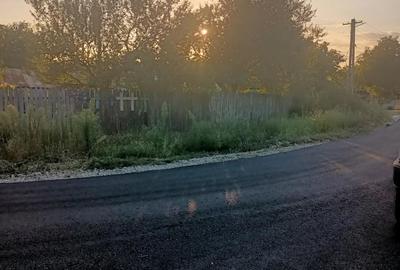 Teren de 12500 mp, în Brănești - 7