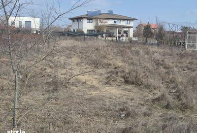 Spațiu comercial, în Balotești - 5