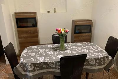 Casa spa?ioasa + 3000mp teren, foraj 120m, zona pitoreasca Balint, Timi? - 9