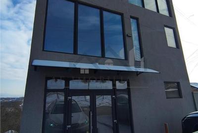 Spațiu comercial, de 240 mp, în Ciurea - 8