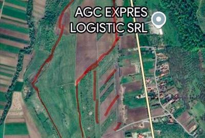 Spațiu comercial, în Central