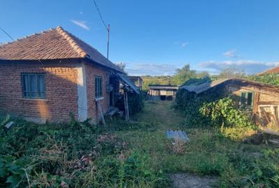 Teren intravilan , 1100mp , front 12,60 m , intrare Filiasi - 2