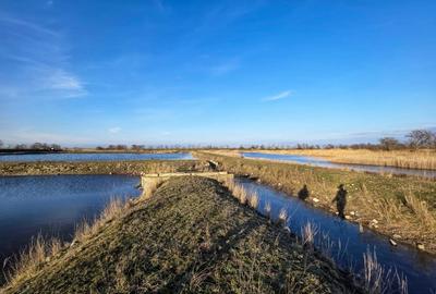 Casă individuală cu 40 camere cu Teren 347644 Mp în Istria - 14