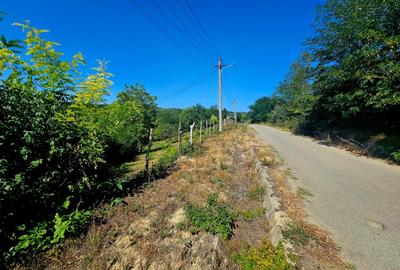 Teren intravilan 2322 mp, Păcuri – vedere superbă spre pădure! - 3