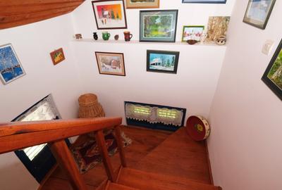 Vanzare casa mare munte, zona superba si 4000 mp teren la munte Cheia Prahova - 4