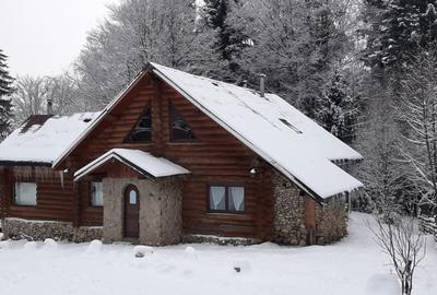 Casa de vacanta sau pensiune situata langa Cabana Trei Brazi Predeal - 49