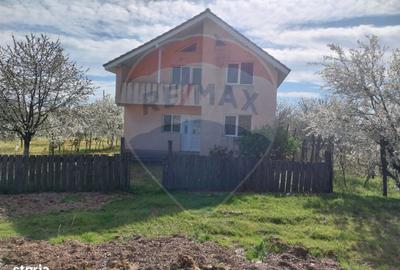 Casă cu 4 camere în Ișalnița - 7