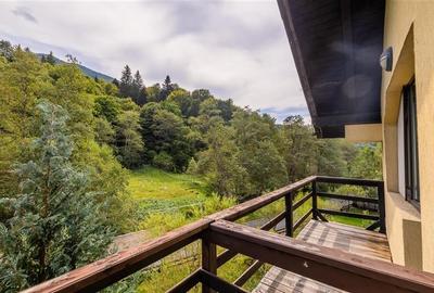 FILM! Pensiune turistica+Casa+transfer afacere+2000 mp teren,Cheile Rasnoavei,Br - 27
