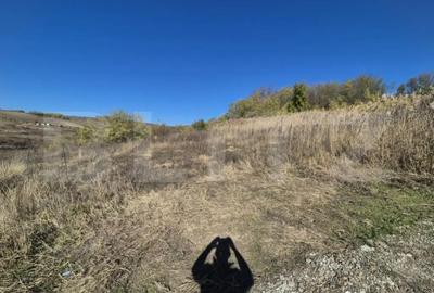 Teren în Valea Lupului - 1