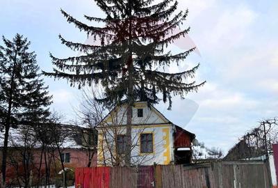 Casă cu 2 camere cu Teren 780 Mp în Moșna - 2