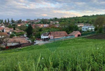 Teren intravilan Tarnaveni - 7