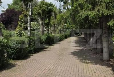 Casă cu 7 camere cu Teren 3833 Mp în Băicoi - 4