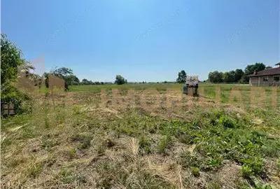 Casă cu Teren 2430 Mp în Satulung