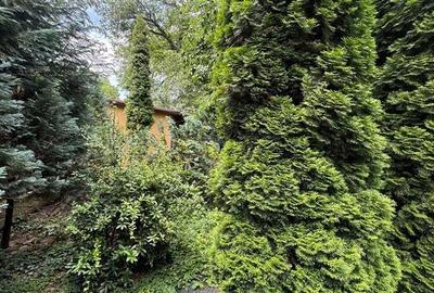 Spatiu comercial cu gradina si loc de parcare in centrul orasului Brasov - 16