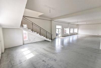 Spațiu industrial, de 500 mp, în Torontalului - 5