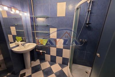 Vanzare apartament, strada Nicolae Iorga - Baia Mare, etaj 1, garaj si boxa - 9