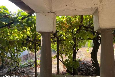 Casă cu 4 camere cu Teren 100 Mp în Rogova - 5