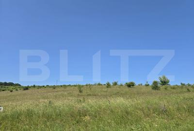 Teren de 1200 mp, în Sălicea - 5