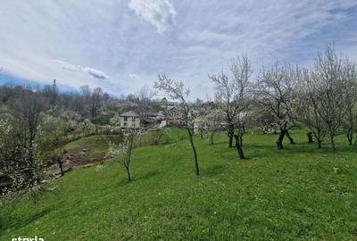 Spațiu comercial, în Ghioșești - 6