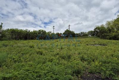 Teren intravilan, 1663 mp, central Dezmir Teren intravilan, 1663 mp, central Dezmir - 7