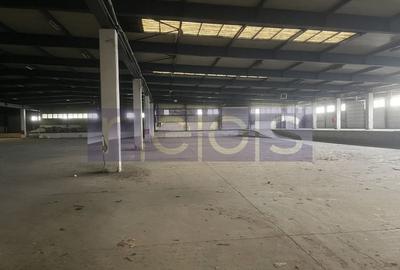 INCHIRIERE HALA | DEPOZIT - OTOPENI CENTURA  |  20.0000 MP - 13