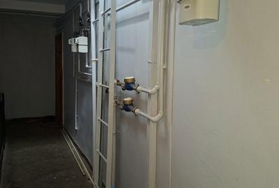 Apartament cu 3 camere decomandat în Craiovița Nouă - 16