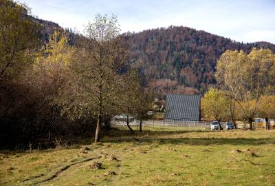 Teren intravilan 5723mp Zarnesti Tohanita- case de vacanta,investitie in turism - 10