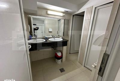 Spațiu comercial, de 380 mp, în Paltin - 4
