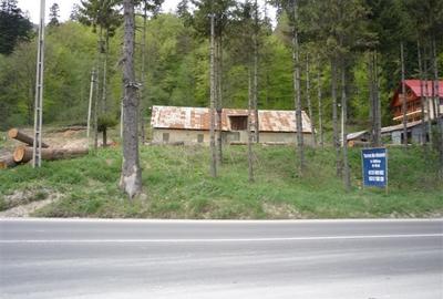 Proprietar, vand teren Busteni Poiana Tapului Prahova 3.450 mp - 3