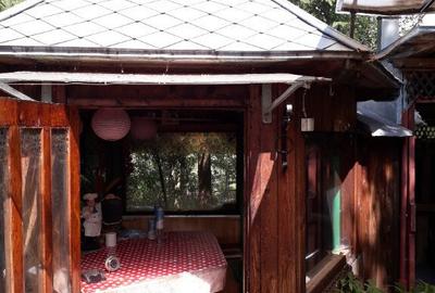 Casa Sunatori, Vatra Dornei, Suceava - 10