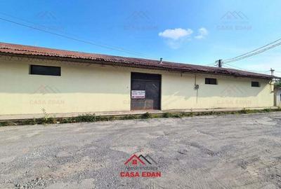 Hala in Campina--280 mp--800e - 6