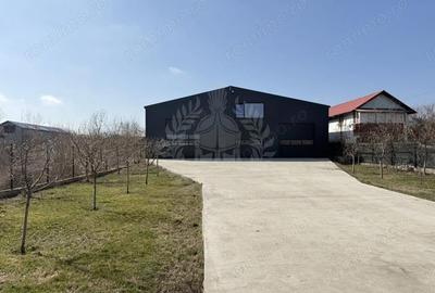 Spațiu comercial, de 250 mp, în Bărcănești - 15