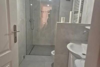 Casa individuala, de inchiriat , sat Romanesti - 4
