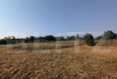 Teren intravilan, 580 mp, Priseaca, jud. Dambovi?a - 1