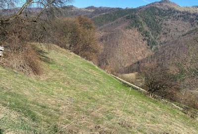 Teren de 20905 mp, în Sud - 8