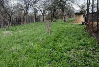 Teren Construcții intravilan de 2360 mp, în Vaidei - 5