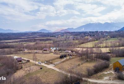 Spațiu comercial, în Predeluț - 12