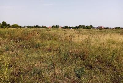 TEREN CONSTRUCTII-CORBEANCA-TAMASI-PRET IMBATABIL-LANGA PADURE-POZITIE BUNA TEREN CONSTRUCTII-CORBEANCA-TAMASI-PRET IMBATABIL-LANGA PADURE-POZITIE BUNA - 2