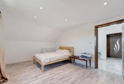 Casa de Maneciu Pamanteni, singur curte - 7