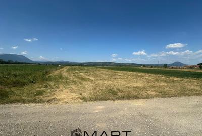 Teren de 5000 mp, în Râșnov Romacril - 2