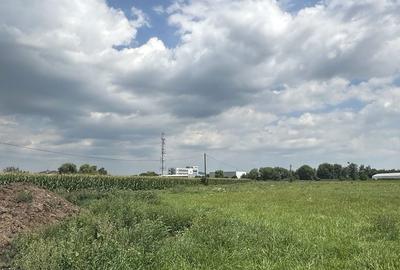 Spațiu comercial, în Drumul Carului - 2